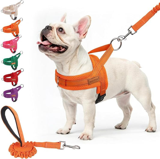 BEAUTYZOO No Pull Dog Harness Medium Sized Dog, Breathable Mesh Padded Dog Harness and Leash Set, Adjustable Reflective Escape Proof Dog Vest Harnessss Quick Fit for Training Walking, Orange M