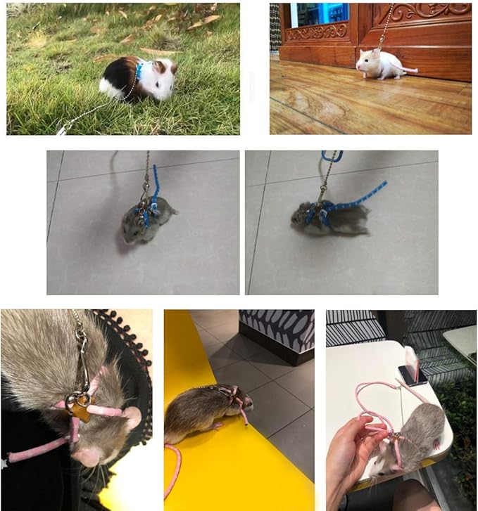 Adjustable Leash Harness with Bell for Rat Mouse Squirrel Guinea Pig Walking Training (Pink)