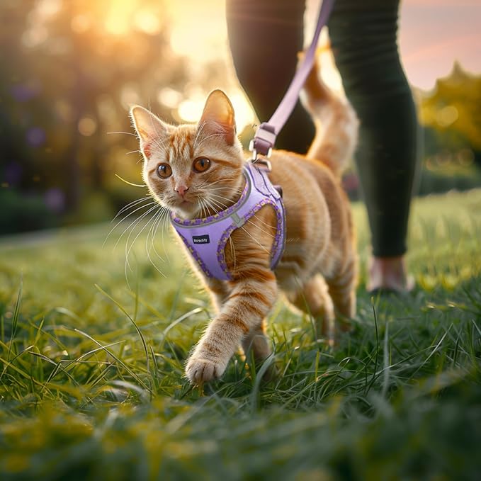 Rttochfy Cat Harness and Leash Set, Escape Proof Kitten Harness, Soft and Breathable Vest with Reflective Strip, Easy to Wear for Cats Walking and Traveling (Purple, L)