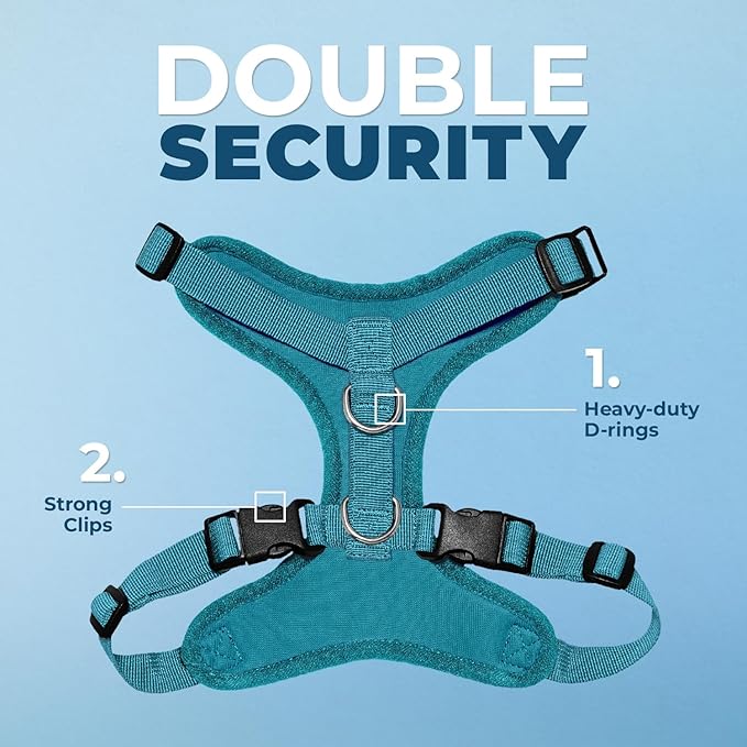 Voyager Step-in Pet Harness - All Weather Mesh, Adjustable Step in Harness for Cats and Dogs by Best Pet Supplies - Turquoise, L