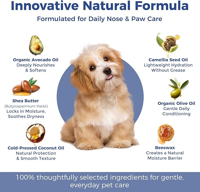 Paw and Nose Balm Stick for Dogs Snout Soother and Paw Moisturizer Protects from Dry Cracked Paws Hot Pavement Snow and Salt 0.53oz (15g)