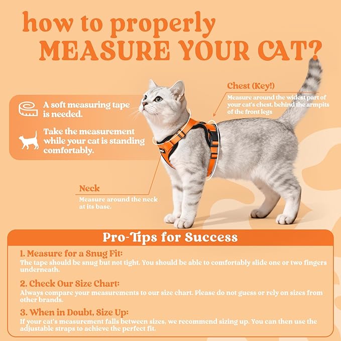 rabbitgoo Cat Harness and Leash for Walking, Escape Proof Soft Adjustable Vest Harnesses for Cats, Easy Control Breathable Reflective Strips Jacket, Orange, M