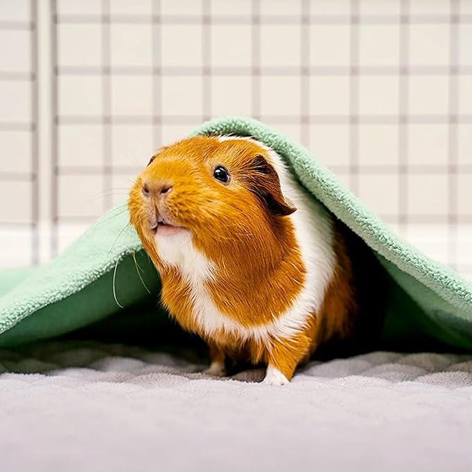 GuineaDad Original Reusable Cage Liner – Sea Green Fleece Bedding with Burrowing Pocket – Extra Absorbent Core & Waterproof Bottom – Fits C&C 2x4 Guinea Pig Cages – Small Animal Supplies