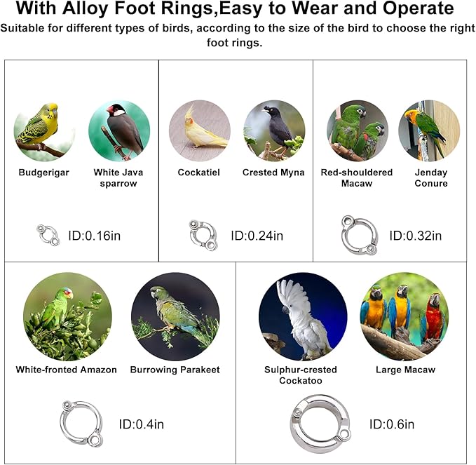 Retractable Bird Leash,Parrot Flying Rope,Anti-Bite Wire Rope Parrot Leash,Adjustable Bird Harness for Training,with 5pcs Alloy Foot Rings,for Budgies,Cockatiels,Crested Cockatoo,Macaws,20ft