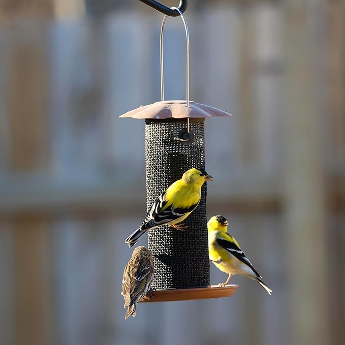 Songbird Essentials Gold Finch Feeder for Outdoor Hanging - Petite Nyjer Thistle Seed Feeder - All Metal - for Finches and Buntings for Outdoor Garden - Brushed Copper