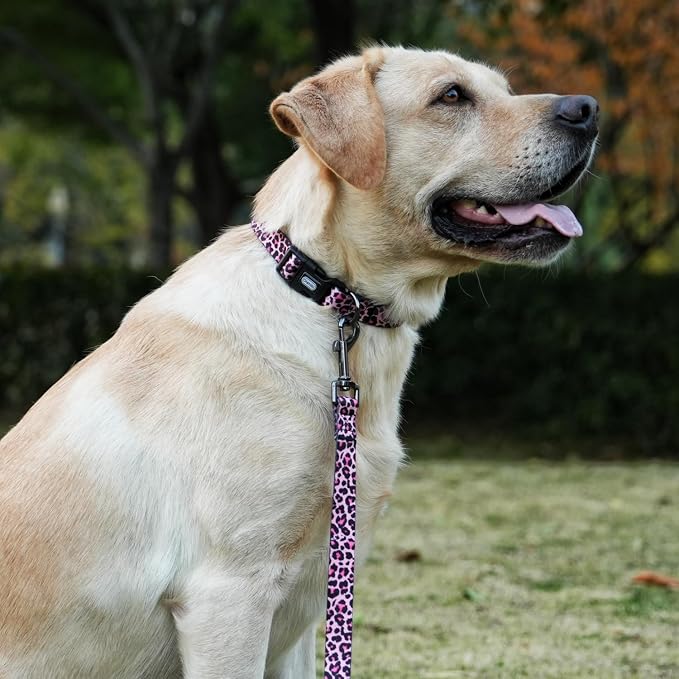 Dog Collar Leash Set, Leopard Pattern, Polyester Material, Adjustable Collar and 5ft Matching Leash, for Medium Dogs.(M, Colorful Leopard)