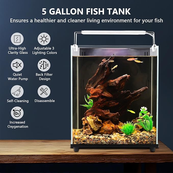 fishkeeper 5 Gallon Fish Tank Starter Kit, Small Aquarium with Filter | LED Light with 3 Colors, Self Cleaning Fish Bowl, Rimless Aquarium for Beginners only for Freshwater Tank, Room Desktop Decor