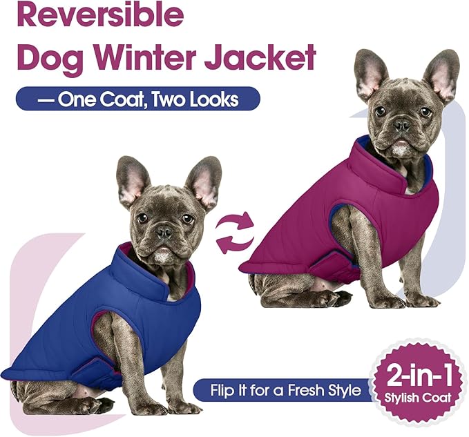 QBLEEV Reversible Dog Jacket for Large Dogs, Waterproof Windproof Winter Coat with Adjustable Hook & Loop Design, Lightweight Puffer Vest Keeps Dogs Warm & Dry, Purple, XL – Fits Pitbull, Boxer