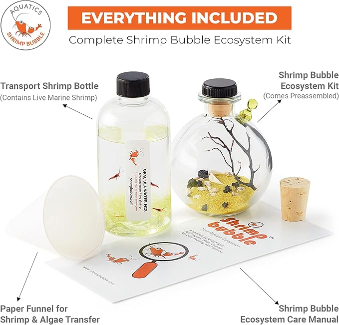 Shrimp Bubble Self-Sustaining Ecosystem - Natural. Contains Live Opae Ula Shrimp