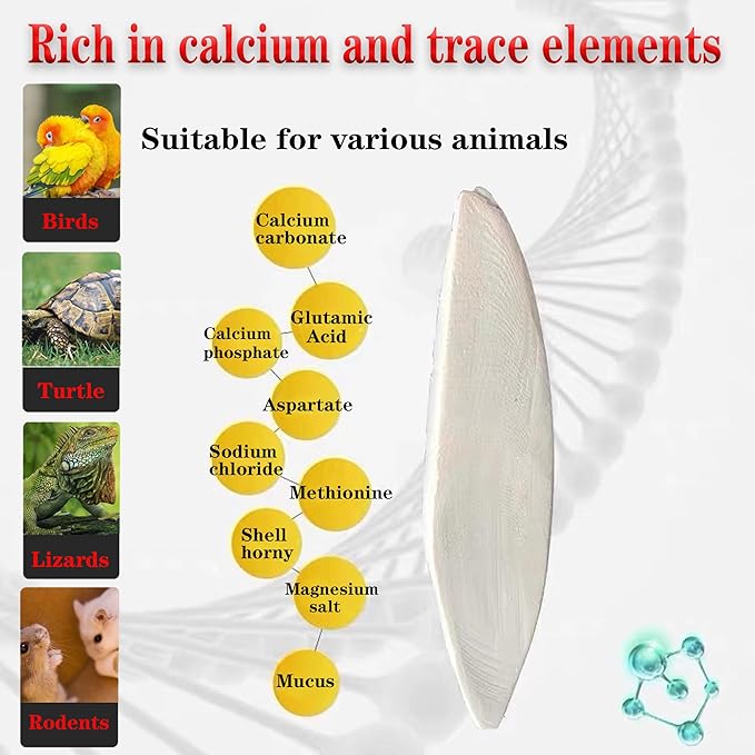 Bird Cuttlebone for Parakeets Cuttlebone for Birds - Natural Cuttlefish Bone Bulk Chew Toy Bird Bites Calcium Stone for Canaries Tortoises,Snails,Reptiles,Parrots,Cockatiel