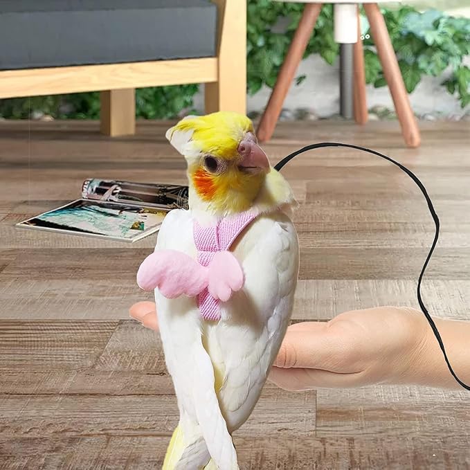 Birds Harness Leash Outdoor Flying Escape-Proof Adjustable Training Design Anti-Bite Bird Rope with Cute Wing for Parrots Scarlet Keck Mini Macaw Love Birds (Pink)
