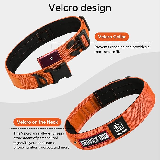 Tactical Durable Dog Collar, Metal D-Ring, Adjustable Heavy Duty Dog Collar with Heavy Quick-Release Buckle for Medium Large Dogs (Orange, L)