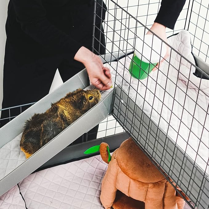 GuineaDad Piggy Condo – Premium C&C Cage with Balcony & Ramp for Guinea Pigs & Small Animals with Coroplast Base | Acrylic and C&C Grids for Small Pets (C&C Grids, Standard (29" x 58.5" x 28.5"))