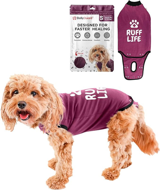 BellyGuard Dog Surgery Recovery Suit, Dog Onesie for Post-Op Care, Recovery Apparel for Female and Male, Surgical Body Cover for Canine Healing Support