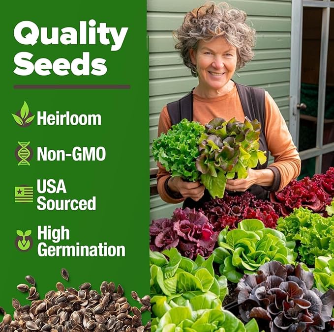 HOME GROWN Lettuce Seeds 8 Variety Mix 9000+ Bulk Pack Heirloom Non-GMO, High Germination, Romaine, Bibb, Buttercrunch, Leafy Greens,Indoor Outdoor Hydroponic Garden, Cut & Come Again (Lactuca sativa)