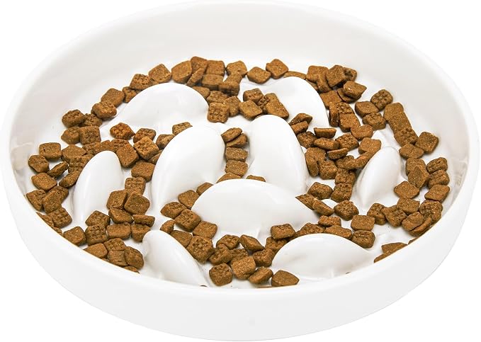 Ceramic Slow Feeder Cat Bowl 6.3" Wide (White) | Anti-Gulping & Keep Fit, Dishwasher Safe, For Dry and Wet Food, For Cats and Small Dogs, Shallow Bottom Puzzle Feeder