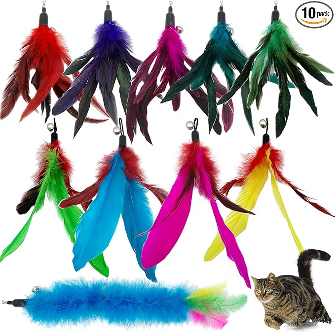 CATENESS Cat Feather Toys Refills, 10 Pieces Cat Wand Replacement Feathers Toy for Indoor Cats