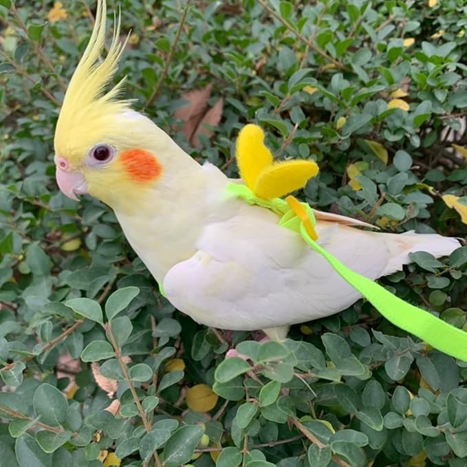 Pet Parrot Bird Harness Leash Adjustable Bird Flying Harness Traction Rope with Cute for Parrots Budgerigar Lovebird Cockatiel Mynah Outdoor Training Toy (Quaker/Sun Conure,Yellow)