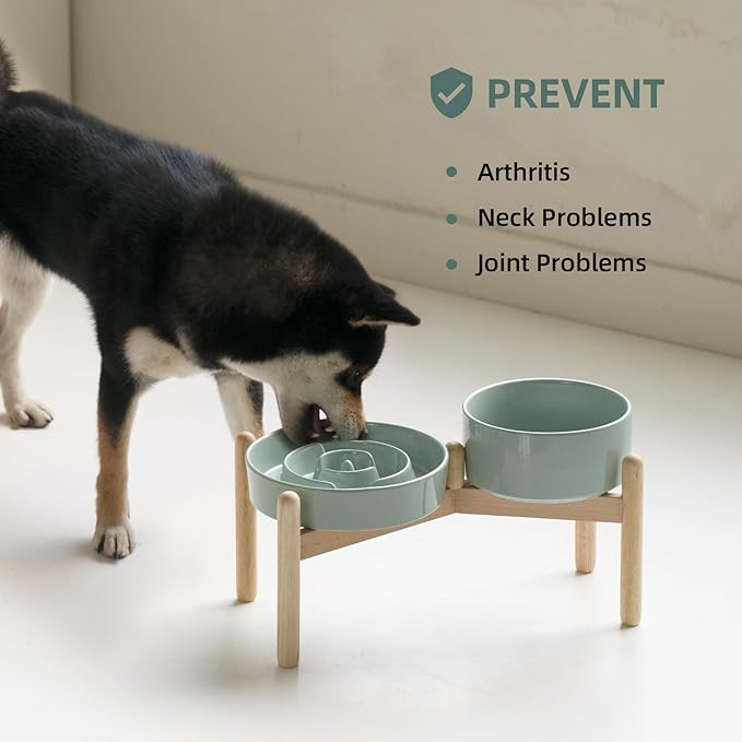 Havniva Ceramic 1.2 Cup Raised Slow Feeder Dog Bowl Set, Elevated 6.1inch Bowl and 7.3inch Puzzle Slow Food Dish with Wooden Stand for Medium and Small Dog, Anti-Gulping (2 x Light Green+ Stand)