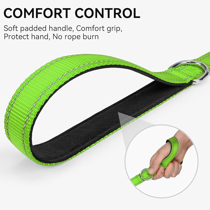 Joytale Dog Leash, 4 FT Double-Sided Reflective, Padded Handle Nylon Heavy Duty Leashes for Medium & Large Dogs Walking, Green