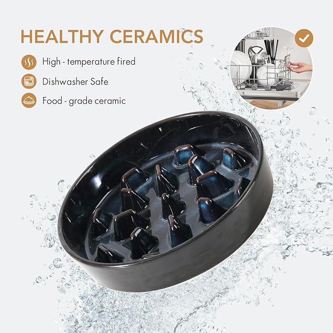 Havniva Slow Feeder Dog Bowls, 3.2 Cups Ceramic Dog Food Bowls 9.5 inch Slow Feeder for Large Dogs Puzzle Bowls for Fast Eater, Pet Slow Feeding Dish Anti-Choking