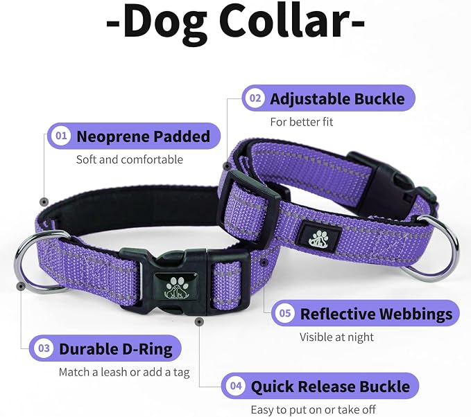 IVY&LANE 2 Pack Reflective Dog Collars and Leashs Set,Adjustable Neoprene Padded Dog Collar for Puppy, Breathable Nylon Pet Collar for Small Medium Large Dogs(Medium,Purple+Fuchsia)