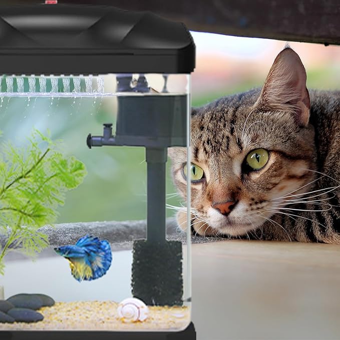 2 Gallon Fish Tank, Betta Fish Tank Small Aquarium Starter Kits Self Cleaning with 3 Types of LED Lights and Filter Water Pump, Ultra Quiet Decoration Kids Room Gift with Glass Aquarium