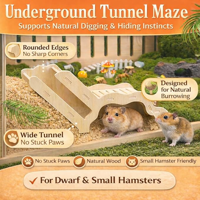 Small Size Hamster Explorer Set - Snap-Together Wooden Burrow with Panoramic Window, Natural Chew-Safe Design & Underground Activity Viewer for Cage Enrichment
