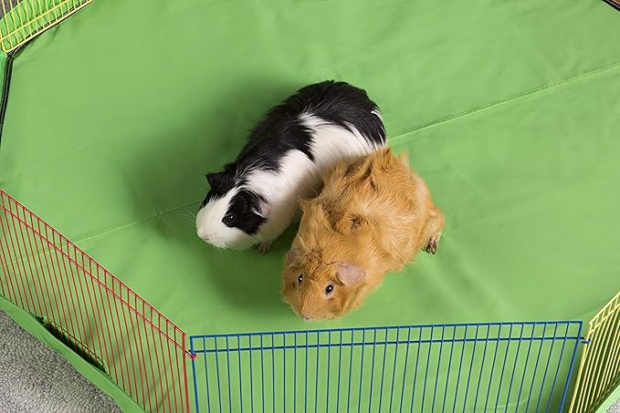 Prevue Pet Products Multi-Color Small Pet Playpen - Small Animal Pen for Rabbits, Guinea Pigs, Hamsters, Tortoises, Bunny Enclosure, Easy to Assemble, Indoor & Outdoor Play - Multi-Color