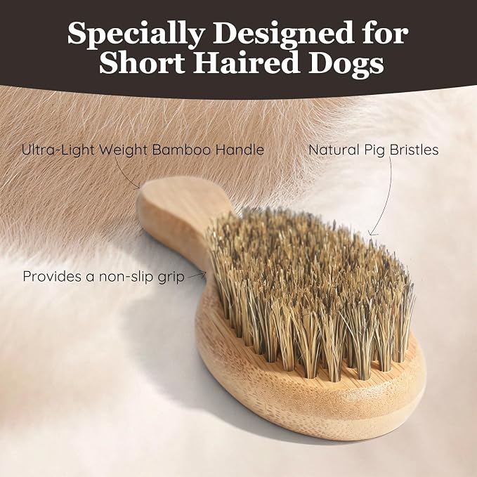 Soft Boar Bristle Short Hair Dog Brush, Natural Bamboo Handle, Pet Massage Deshedding Tool, Fit Puppy, Such as French Bulldog, Beagle, Dachshund, Boston Terrier, Pug, Chihuahua