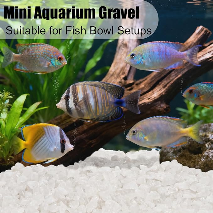5 lbs Small Natural White Quartz Crystal Stone, Irregular Aquarium Gravel, Mini Clear Tumbled Chips Crushed Stone, Healing Reiki Gemstones, Decorative Pebbles Rocks for Vase Tank Plant, 7-9 mm