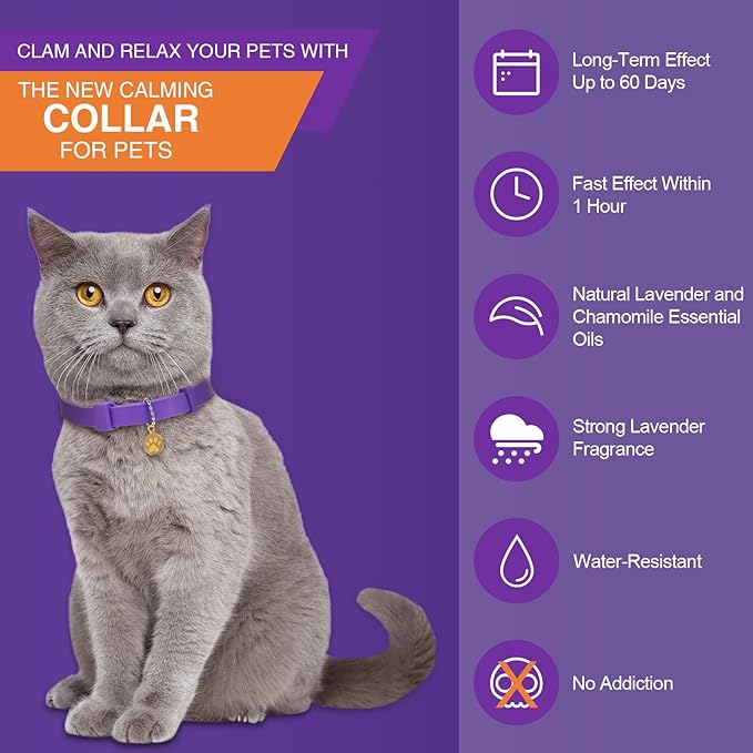 Weewooday 4 Pcs Cat Calming Collar Adjustable Pheromones Scent Relaxing Cat Collar with 2 Pendant for Puppies Reduce Stress Aggression Anxious, up to 15 Inches(Purple, Gold)