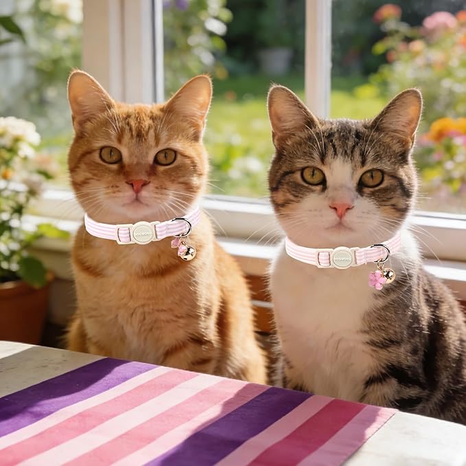 2 Pack Pink Purple Cat Collars Breakaway with Bell, DOGWONG Safety Buckle Cat Collar for Girl Boy Cats and Small Dogs，Adjustable 7-12 Inch,Pet Supplies Accessories