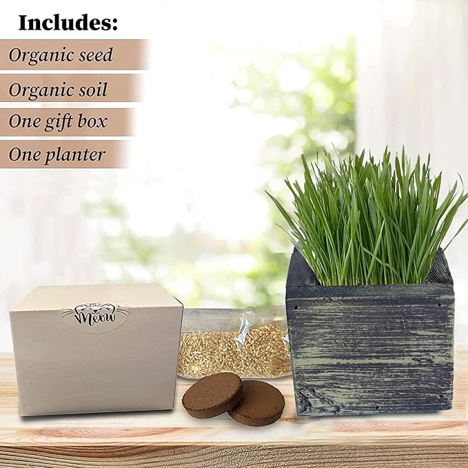 Cat Grass for Indoor Cats - Best Value Organic Cat Grass Starter kit, USA Made Cedar Planter, Organic Wheatgrass Seed and Soil in a Gift Box (Mossy Green)