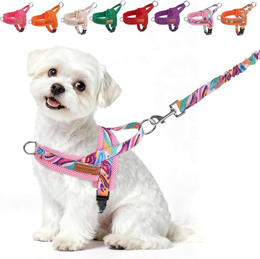 BEAUTYZOO Dog Harness for Small Dogs,No Pull Dog Harness and Leash Set,Soft Breathable Escape Proof Puppy Vest Harnessss with Handle,Lightweight Quick Fit Harness for Girl Boy Dogs Training Walking,XS