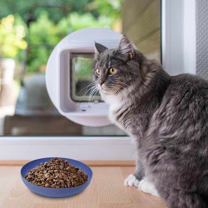 [8 Pack] Cat Dishes Whisker Friendly, Shallow Wide Cat Food and Water Bowl, Durable Wheat Straw Cat Bowls for Indoor Cats