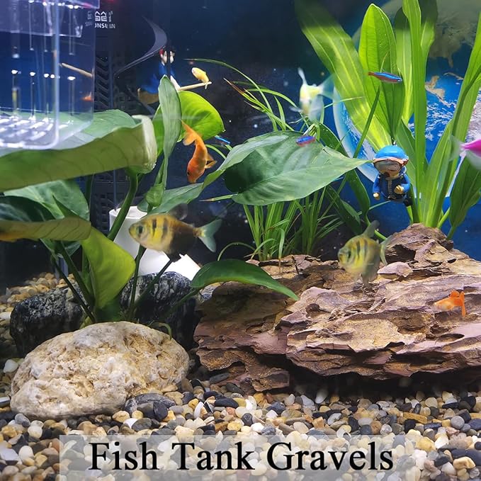 FANTIAN 2 lbs Aquarium Gravel, 1/4 inch Pea Gravel for Fish Tank, Decorative Pebbles River Rocks for Plants Succulent Vase Indoor Water Fountains and Outdoor Landscaping