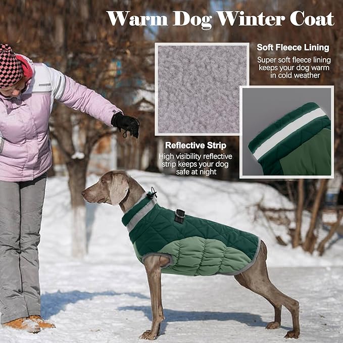 Lelepet Warm Dog Winter Coat Dog Coats for Medium Dogs Waterproof Dogs Jacket with Harness Built in Reflective Cold Weather Coats Windproof Zip-Up Winter Fleece Vest Snowsuit Dachshund Teal Green