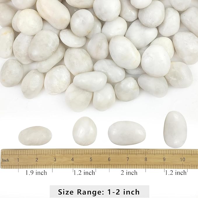 2lbs White River Rocks, 1-2 Inch Natural Pebbles for Indoor Plants, High Polished Decorative Stones Vase Filler Fish Tank Aquariums Landscaping Garden Outdoor and Indoor DIY
