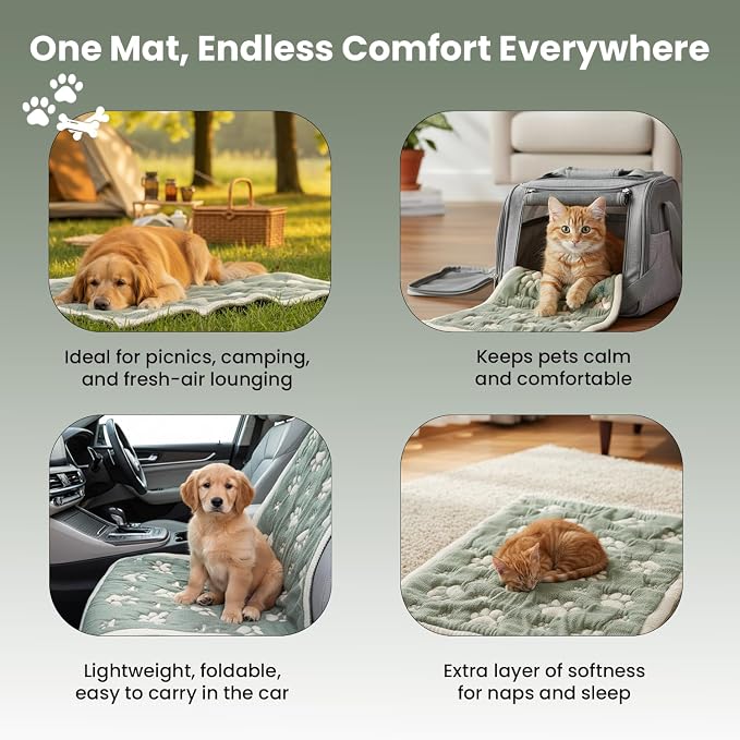 PetMat, Biscuit Beige, 28x40 in | Organic Cotton Crate Pad, Small Dogs, Cats & Nursery, Seamless & Reversible, Washable, 3D Knit Comfort