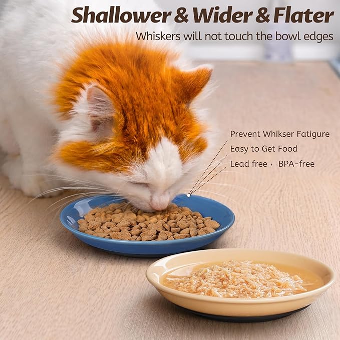 WROSWT Colorful Cat Food Bowl,Non-Slip Silicone Bottom Cat Bowls for Indoor Cats,Anti Whisker Fatigue Cats Dishes Set,Shallow Wide Kitten Plates for Food and Water,4 Pack