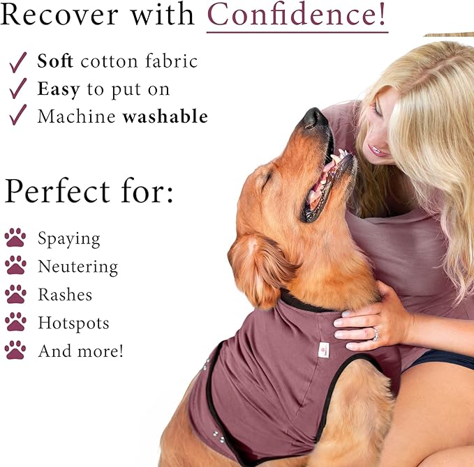 BellyGuard Dog Surgery Recovery Suit, Dog Onesie for Post-Op Care, Recovery Apparel for Female and Male, Surgical Body Cover for Canine Healing Support