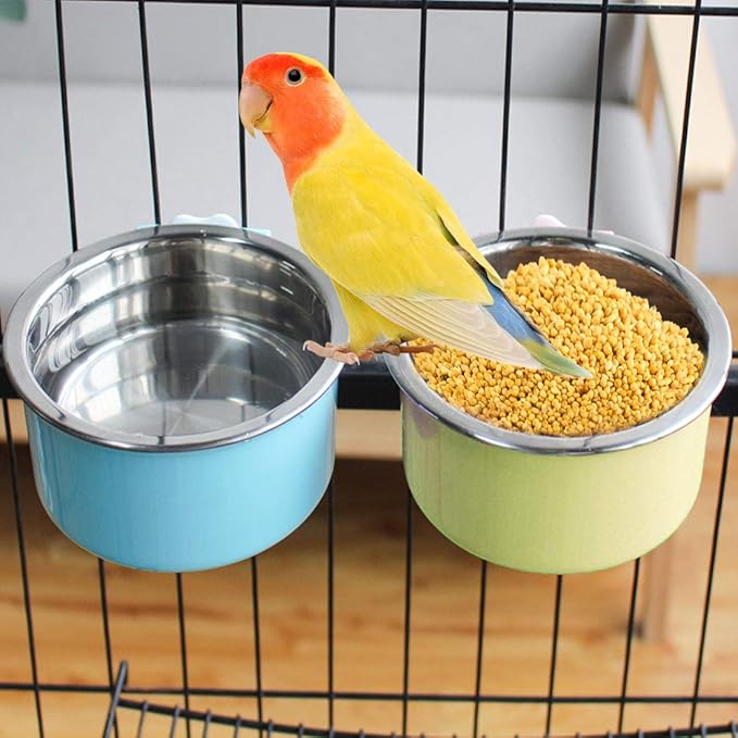 PINVNBY Bird Feeding Dish Cups, Detachable Stainless Steel Bowl, Eco-Friendly Plastic Bowl, Water and Food Bowl, Easy Installation, Prevents Upsetting, 1 Pcs