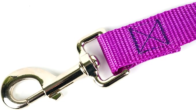Country Brook Petz - Everyday Nylon Dog Collar and Leash - 10+ Cool Colors (1 Inch, Extra Large, Bright Purple)
