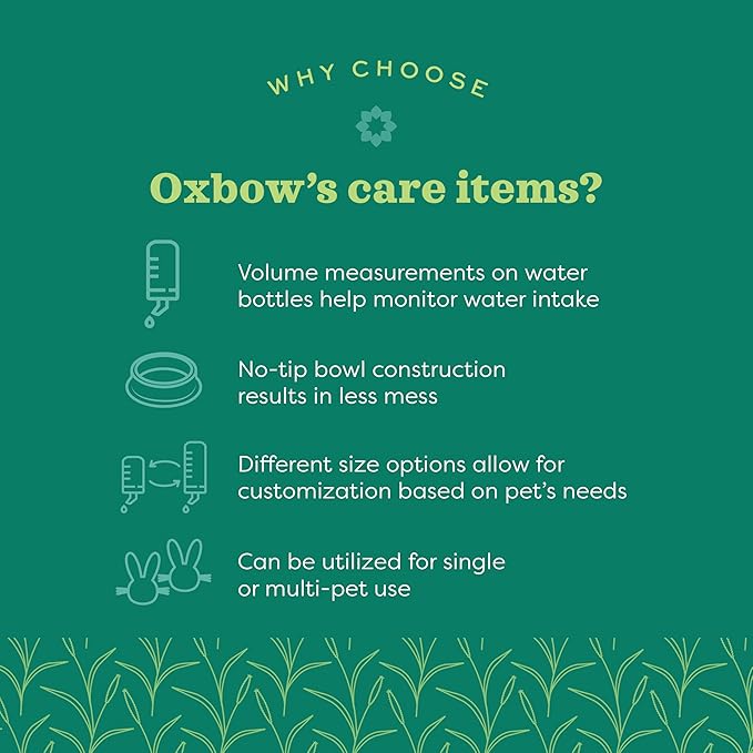 Oxbow Enriched Life Dripless Water Bottle, Guinea Pig Water Bottle, Rabbit Water Bottle, Essential Small Pet Accessory for Guinea Pig Cages & Rabbit Cage, Bunny Supplies, 15oz / 450ml