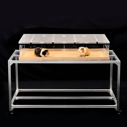 GuineaLoft™ Model-A2 Acrylic Guinea Pig Cage w/Translucent Gauze Lid, Supporting Beams & Connect/Roaming Doors - Large 4x2ft Expandable C&C Cage, Works Also for Bunnies, Button Quails, Hedgehogs