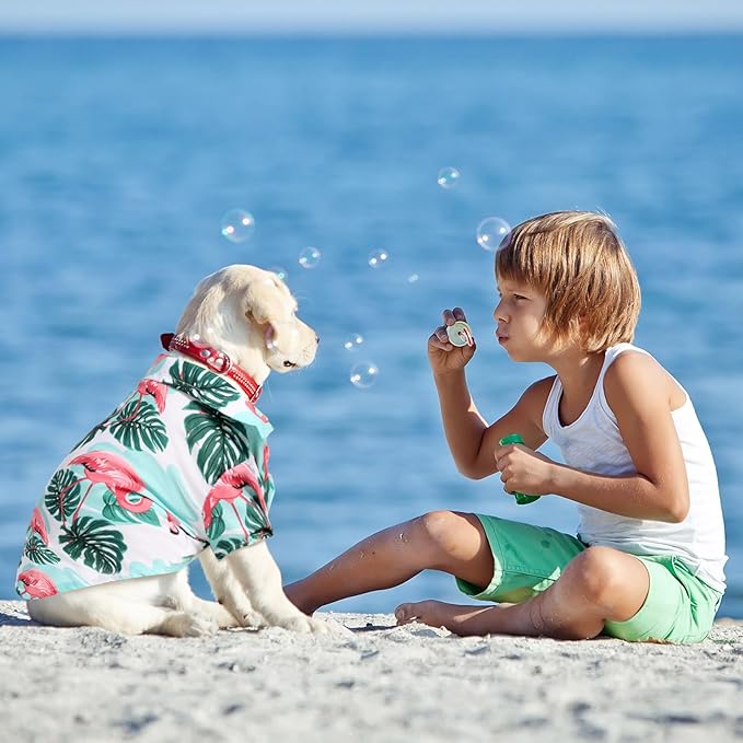 Weewooday 4 Pieces Small Pet Summer T-Shirts Hawaii Style Floral Pet Dog Shirt Breathable Cool Clothes Beach Seaside Puppy Sweatshirt for Puppy(Lovely Style,Large)
