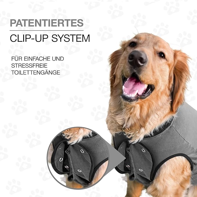 BellyGuard Dog Surgery Recovery Suit, Dog Onesie for Post-Op Care, Recovery Apparel for Female and Male, Surgical Body Cover for Canine Healing Support