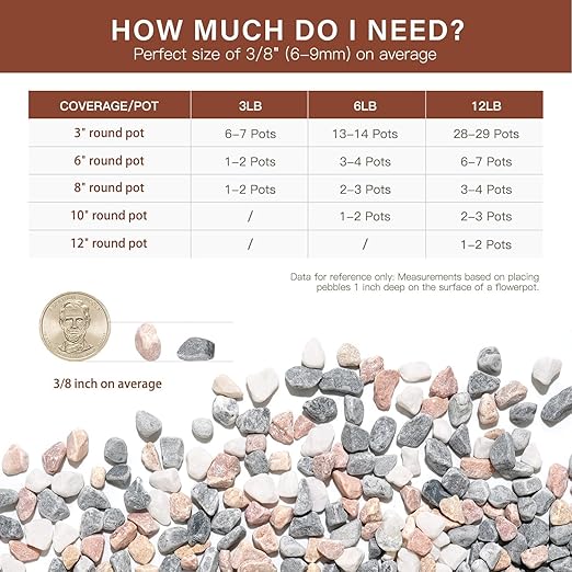 NUPICK 3 lbs Pebbles for Indoor Plants, 3/8 Inch Pea Gravel for Fish Tank, Decorative Rocks for Succulent, Natural River Stones for Vases, Cactus, Landscaping, Bird Bath, Aquarium, Mixed
