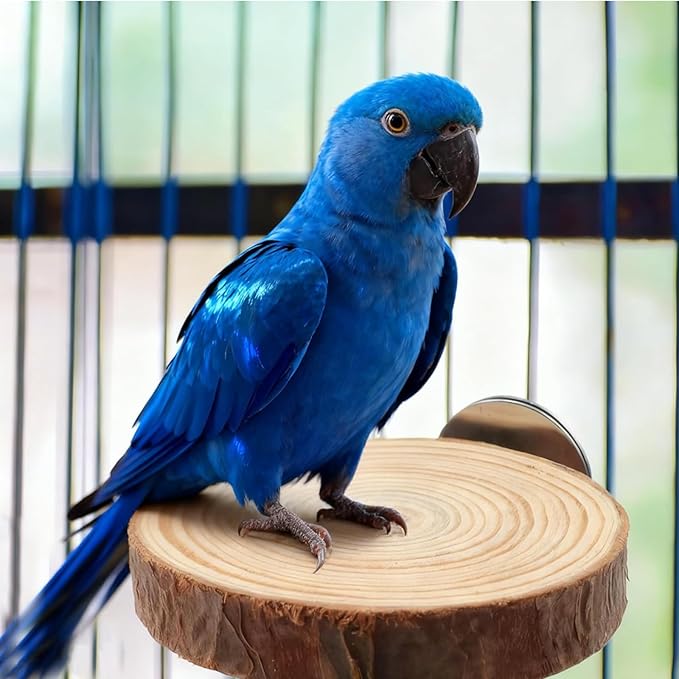 6 PCS Natural Wood Bird Perches Stand for Cage,Bird Perches for Bird Cages,Bird Cage Perch with Bolt and Wing Nut,Parrot Perch for Budgies Cockatiels Parakeets Conures